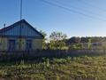 Отдельный дом · 2 комнаты · 55 м² · 62 сот., Лесная 22 — Село Трамбовка, в 6 км от села Сосновка за 7.9 млн ₸ — фото 9