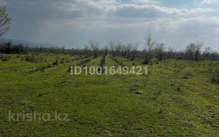 Участок · 4 га, Есик за 9.5 млн ₸ — фото 2