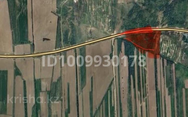 Жер телімі · 10 га, Қаратұрық, бағасы: 8 млн ₸ в Каратурык — фото 2