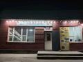 Магазины и бутики, общепит · 388 м² за 150 млн ₸ в Жаркенте