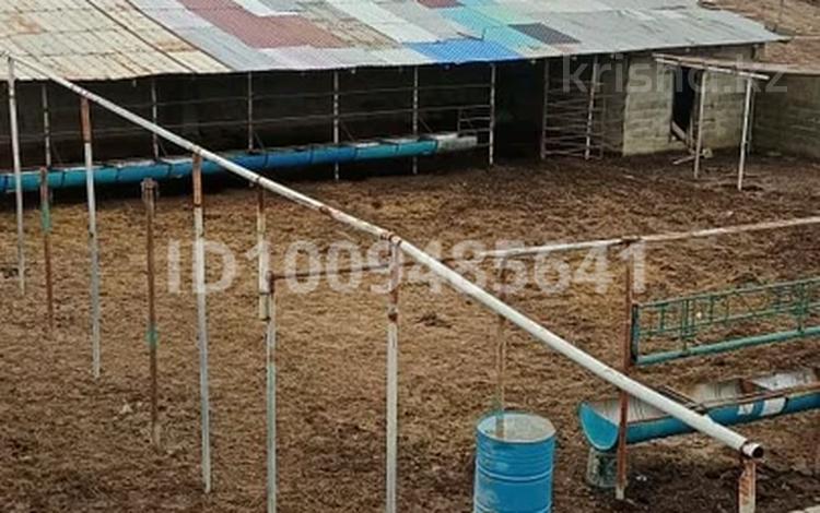 Тез арада дайын фазенда сатылады · 100 м² за 47 млн 〒 в Алматинской обл., Карасай — фото 7