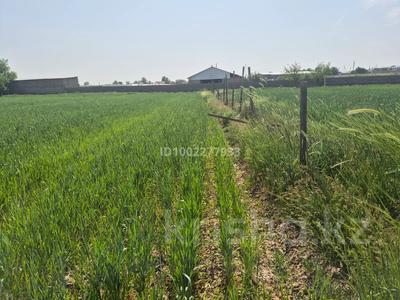 Тепличный комплекс · 5000 м², бағасы: 60 млн 〒 в Шымкенте, Каратауский р-н