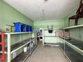 Еркін · 250 м², бағасы: 1 млн ₸ в Астане, Алматы р-н — фото 11