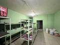 Еркін · 250 м², бағасы: 1 млн ₸ в Астане, Алматы р-н — фото 13