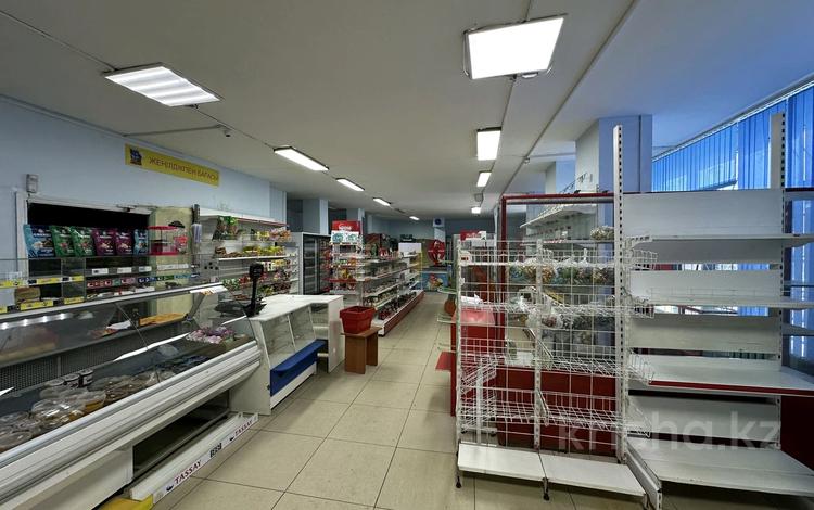 Еркін · 250 м², бағасы: 1 млн ₸ в Астане, Алматы р-н — фото 7