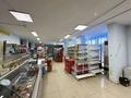 Еркін · 250 м², бағасы: 1 млн ₸ в Астане, Алматы р-н — фото 2