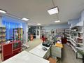 Еркін · 250 м², бағасы: 1 млн ₸ в Астане, Алматы р-н — фото 3