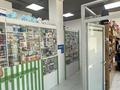 Еркін · 35 м², бағасы: 400 000 ₸ в Астане, Есильский р-н — фото 3