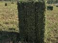 Участок · 3 га, Х. Гуламов 101 за 30 млн ₸ в Аксукенте — фото 3