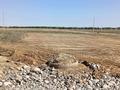 Участок · 7 соток, 14 33 — 42 школа за 8.5 млн ₸ в Аскара Токпанова (Казцик) — фото 3