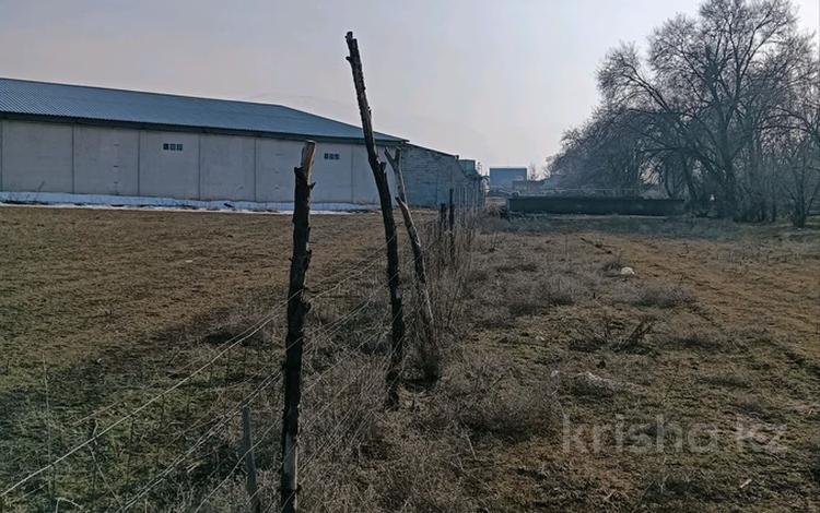 Жер телімі · 100 сотық, Шалқар, бағасы: 120 млн ₸ в Шалкар — фото 2