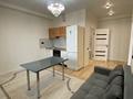 2-комнатная квартира · 47 м² · 1/5 этаж, мкр Алгабас, Мкр Саялы 30 — Автоцон,ИЗА(Индустриальная зона Алматы)Арена,Дарабоз,Саялы,Новая Саина,Алатау Парк за 20 000 ₸ в Алатауский р-н — фото 14