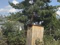 Дача · 2 комнаты · 15 м² · 4 сот., ПКСТ «Колос» Улица 13 738 за 1.2 млн ₸ в Костанае — фото 14