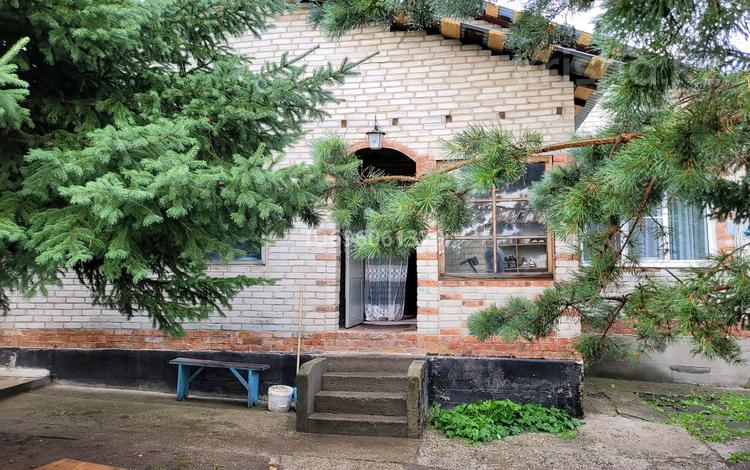 Отдельный дом · 4 комнаты · 85.5 м² · 10 сот., Плахуты за 46 млн ₸ в Усть-Каменогорске — фото 12