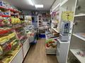 Магазины и бутики • 54 м² за 25 млн 〒 в Павлодаре — фото 5