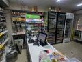 Продуктовый магазин · 49 м², бағасы: 26 млн ₸ в Усть-Каменогорске, Ульбинский — фото 8