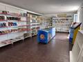 Магазины и бутики · 100 м² за 22 млн ₸ в Чапаеве