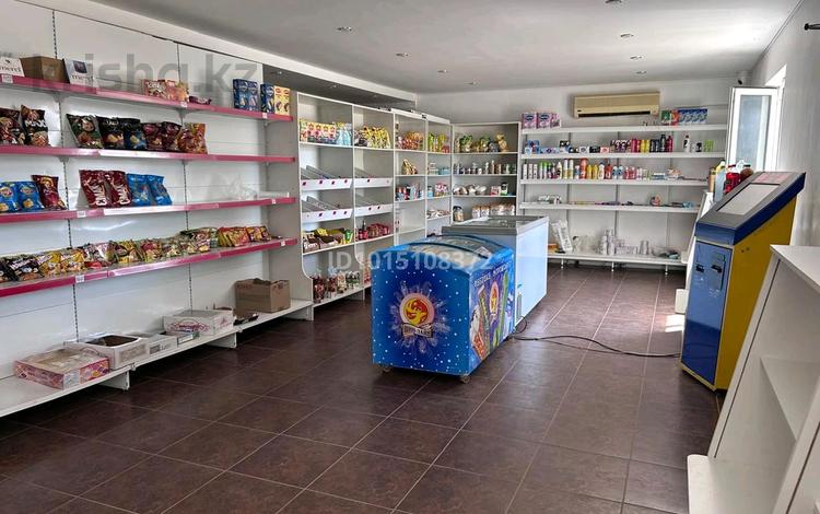 Магазины и бутики · 100 м² за 22 млн ₸ в Чапаеве — фото 2