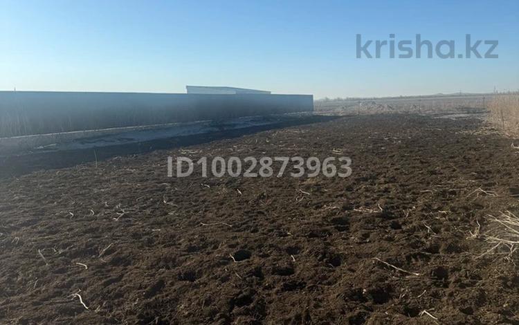 Жер телімі · 10 сотық, Егемен 22, бағасы: 2.8 млн ₸ в Садовом — фото 3