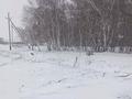 Жер телімі · 10 сотық, Аккайын, бағасы: 15 млн ₸ — фото 2