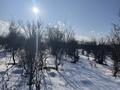 Жер телімі · 1 га, Акбулак, бағасы: 60 млн ₸ — фото 12