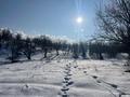 Жер телімі · 1 га, Акбулак, бағасы: 60 млн ₸ — фото 3