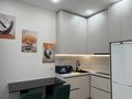 2-комнатная квартира · 45 м² · 8/12 этаж, Толе Би 290/1 за 25 000 ₸ в Алматы, Алмалинский р-н — фото 6