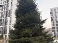 2-бөлмелі пәтер · 52 м² · 11/12 қабат, улица Сагадата Нурмагамбетова, бағасы: 52 млн ₸ в Алматы, Медеуский р-н — фото 2