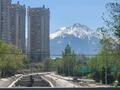 1-комнатная квартира · 50 м² · 5/25 этаж, Абиша Кекилбайулы 270 — Малахова за 14 000 ₸ в Алматы, Бостандыкский р-н — фото 10