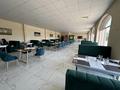 Общепит · 350 м² за 6.5 млн 〒 в Туркестане — фото 10