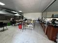 Общепит · 350 м² за 6.5 млн 〒 в Туркестане — фото 15