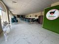 Общепит · 350 м² за 6.5 млн 〒 в Туркестане — фото 8