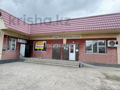 Еркін, кеңселер, дүкендер мен бутиктер, қоймалар, қоғамдық тамақтану орны, сұлулық салондары, медорталықтар мен дәріханалар, білім орталықтары, ойын-сауық · 146.8 м², бағасы: 41 млн ₸ в 