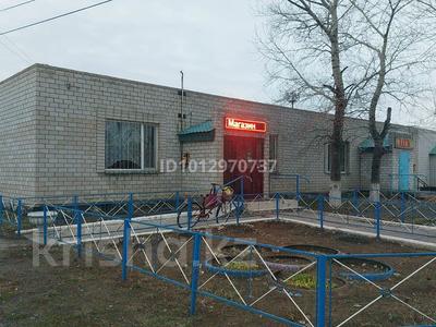 Магазины и бутики · 150 м² за 30 млн ₸ в Павлодарской обл., Актогай