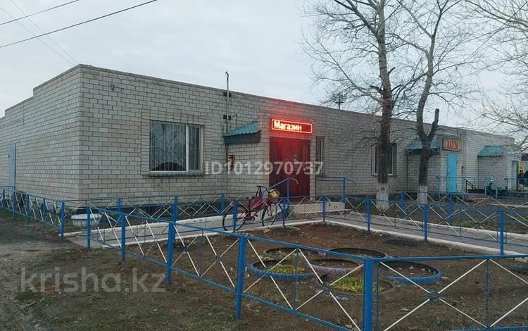Магазины и бутики · 150 м² за 30 млн ₸ в Павлодарской обл., Актогай — фото 2