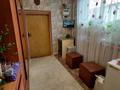 Отдельный дом · 4 комнаты · 94 м² · 8 сот., Достык 106 за 40 млн ₸ в Иргели — фото 25
