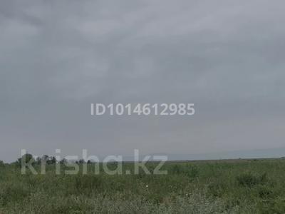 Участок · 14.5 га, Акши (Енбекшиказахский район) за 12 млн ₸