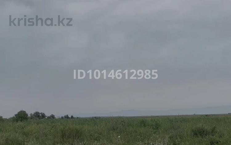 Жер телімі · 14.5 га, Ақши (Еңбекшіқазақ ауданы), бағасы: 12 млн ₸ в Акши (Енбекшиказахском районе) — фото 3