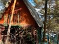 Дом · 2 комнаты · 20 м², Дельфин 9 за 11 000 ₸ в Новой бухтарме — фото 15