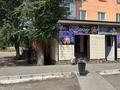 Магазины и бутики · 138 м² за 30 млн ₸ в Топаре