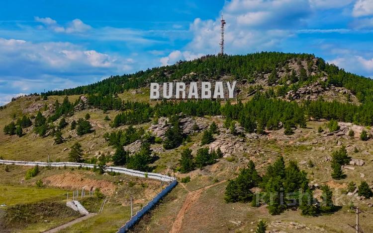 Участок · 9 соток, Луначароского 2в/2 за 250 млн ₸ в Щучинске — фото 2