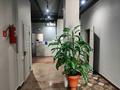 Бани, гостиницы и зоны отдыха · 2000 м² за 225 млн ₸ в Байсерке — фото 5