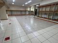 Еркін, дүкендер мен бутиктер · 259 м², бағасы: 110 млн ₸ в Сатпаев — фото 7