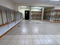 Еркін, дүкендер мен бутиктер · 259 м², бағасы: 110 млн ₸ в Сатпаев — фото 8
