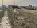 Участок · 8 соток, мкр Асар за 24 млн ₸ в Шымкенте, Абайский р-н — фото 3