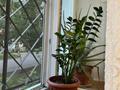 3-бөлмелі пәтер · 76 м² · 1/3 қабат, Шакарима 167, бағасы: 27 млн ₸ в Усть-Каменогорске — фото 19