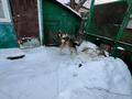 Отдельный дом · 3 комнаты · 65 м² · 10 сот., Черняховского 109 за 11 млн ₸ в Усть-Каменогорске — фото 20