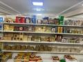 Магазины и бутики · 600 м² за 100 млн ₸ в Караганде — фото 11