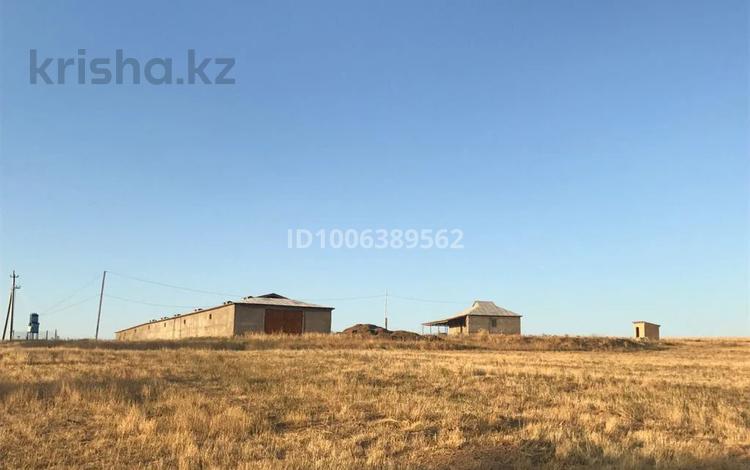 Участок · 6.95 га, 209 за 100 млн ₸ в Кайнарбулаке — фото 9