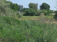 Дача · 2 комнаты · 50 м² · 7.5 сот., Тайманова 323 за 2.3 млн 〒 в Уральске